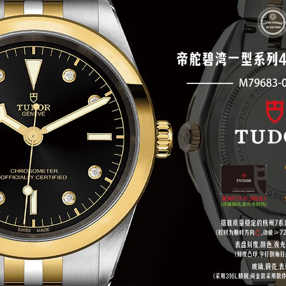 Tudor Black Bay 22 mm HT Factory Configuration E124DF 1:1 Superclone