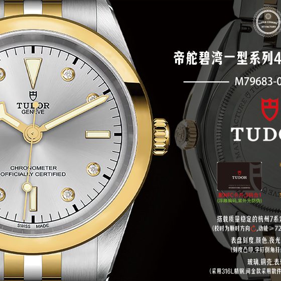 Tudor Black Bay 22 mm HT Factory Configuration C31F99 1:1 Superclone